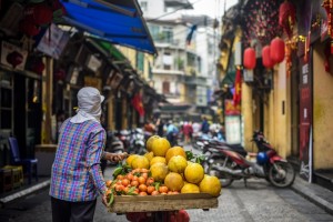 关于蜜柚的四个流言你听了会信吗