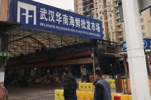 多图直击武汉肺炎事发海鲜批发市场有人不在意有人忧虑