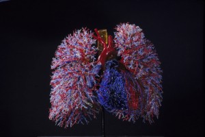 3种行为很伤肺想要肺健康4个方法简略有用