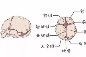 宝宝如此柔嫩的囟门终究该怎么护理呢