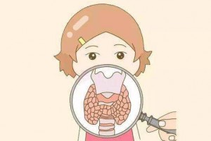 研讨标明甲减女人患者居多女人怎样才干脱节甲减魔咒