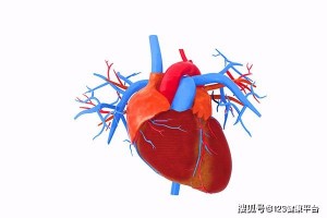 冠心病最佳医治办法冠心病怎样医治