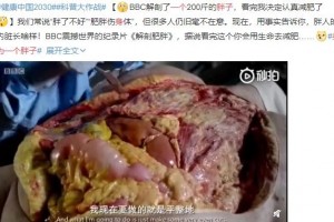 假如你知道你的身体里有这么多脂肪你还不瘦身么