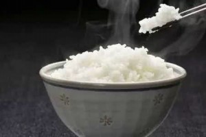 一颗小小饭粒的游览咱们的消化道是怎么作业的