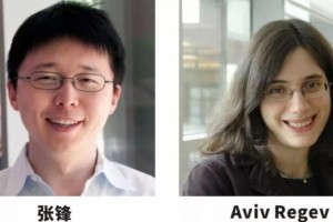 Cell年度最佳论文张锋DNA显微镜当选