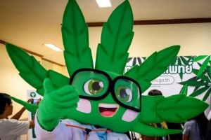 两家大麻诊所开业需求太火爆一天就预定了2200多人……