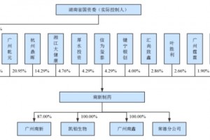 流感药出产商南新制药的困境主打产品或许被身手身手药批件到期
