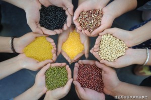 抗癌的六种食物总算找到了大豆排在第四位排在首位的你很少吃