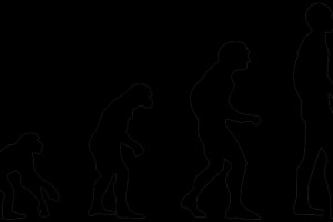 Neuron人脑进化的要害竟然是像癌细胞相同张狂的推陈出新