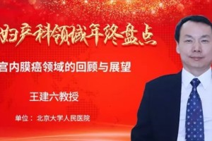 2019·年终盘点王建六教授子宫内膜癌范畴的回忆与展望