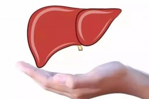 全球肝癌一半发生在我国5种食物是祸源饭桌上常有