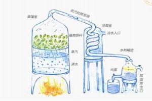 逐源马迷纯露火的这么热真的能缩短毛孔仍是一个传言