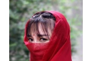 国风IP李子柒爆款背面的KOL图谱解读