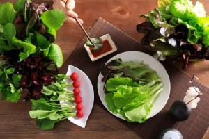 【健康】蔬菜瓜果这样挑健康又新鲜(年关必备)