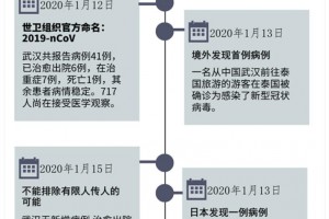 图解武汉硬刚新式冠状病毒肺炎
