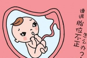 涨常识丨怎么应对不按套路出牌的宝宝?