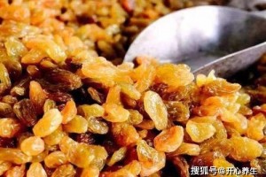 葡萄干直接吃等于吃尘埃和虫卵一招教你清洁净