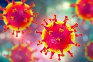 现在依据儿童年轻人对病毒不易感一文解读哪些人易被感染
