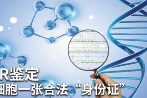 基因云联合生化细胞所姑苏研究院展开细胞STR判定服务