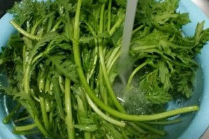 失眠就怕这菜每天吃一盘安神无梦睡到天然醒黑眼圈没有了