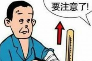 合适高血压的十种果蔬
