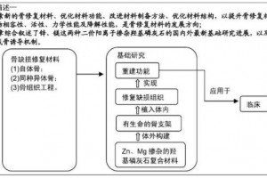 ZnMg增强羟基磷灰石骨修正资料临床使用与机制生物活性及成骨诱导的研讨进