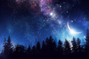 一种新发现的小鼠色觉机制或许有助于答复为什么暗淡的夜空会泛蓝