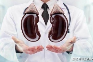 肾结石粉碎机已发布没事吃两口结石或能不攻自破