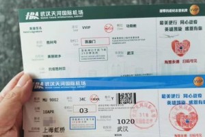 最终一支医疗队抵达上海浦东机场1649名逆行者均已回家