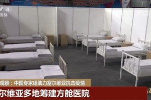 采用我国专家建议塞尔维亚做了哪些事