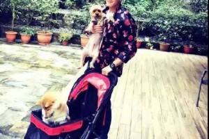 婚后放纵43岁何润东头秃变油腻男健身人设坍塌一派胡言