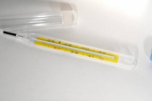发烧白细胞高是怎么回事白细胞偏高的危害