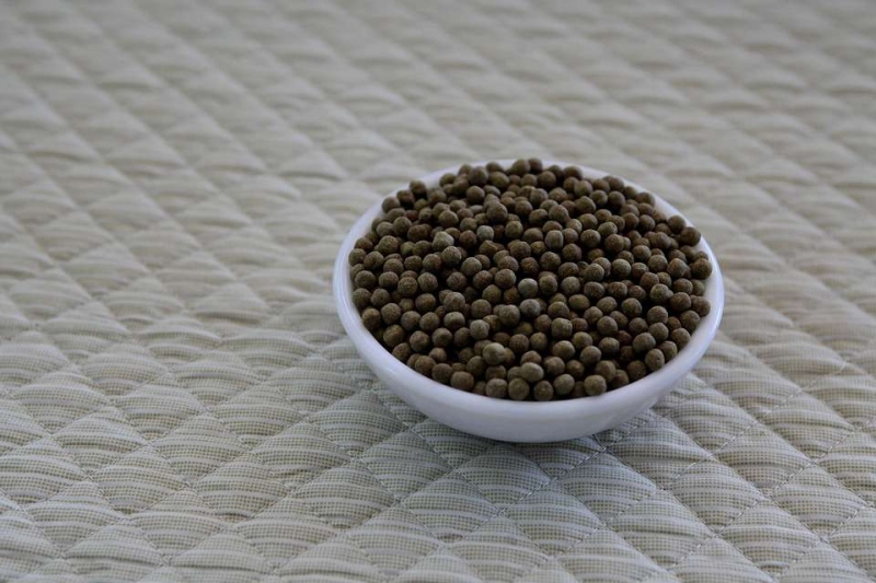 香砂养胃丸治胃炎吗胃炎的症状究竟有哪些