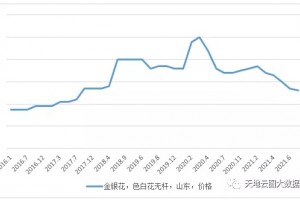 金银花产新产量逐年增大价格面临继续下跌风险!